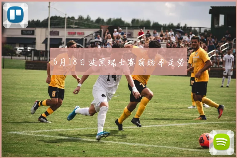 6月18日波黑瑞士赛前赔率走势