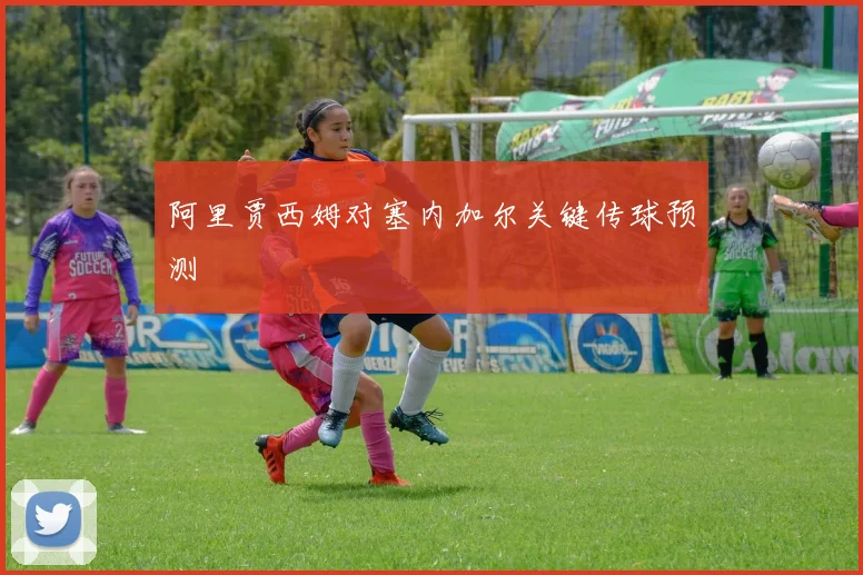 阿里贾西姆对塞内加尔关键传球预测