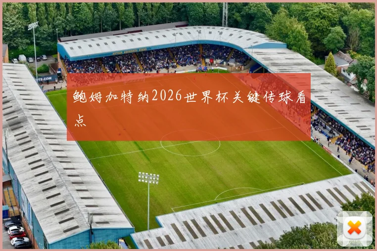 鲍姆加特纳2026世界杯关键传球看点