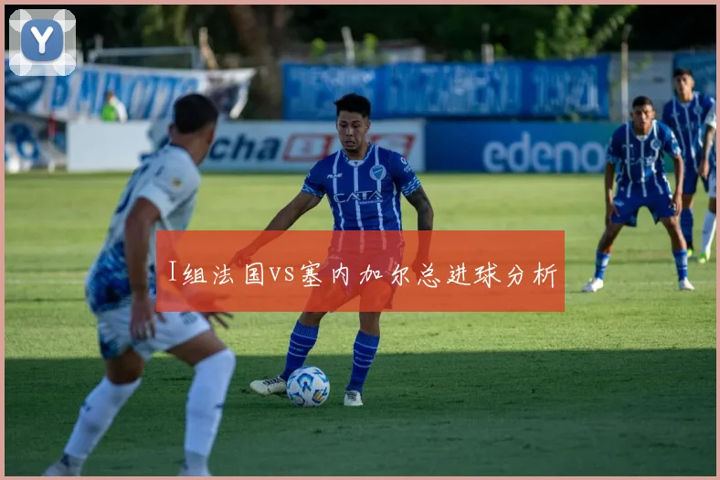 I组法国vs塞内加尔总进球分析