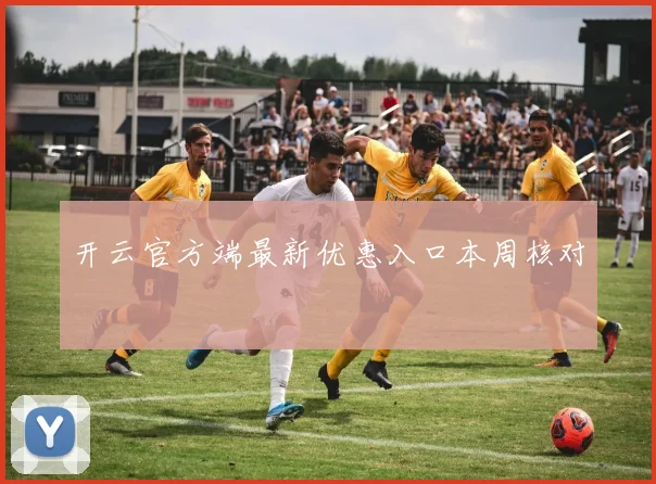 开云官方端最新优惠入口本周核对