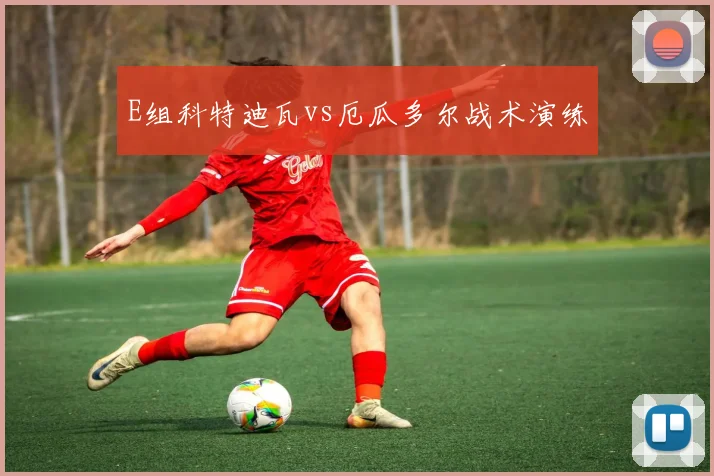 E组科特迪瓦vs厄瓜多尔战术演练