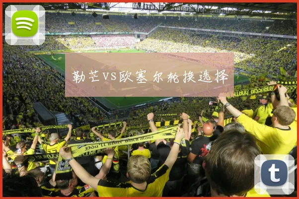勒芒vs欧塞尔轮换选择